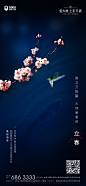 立春-06