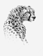 花纹豹子png免抠素材 免费下载 页面网页 平面电商 创意素材 png素材