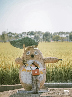 一博小雷达采集到稻草