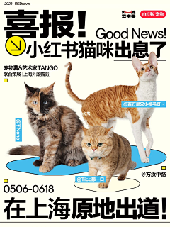 赵小闹了个闹采集到竖图