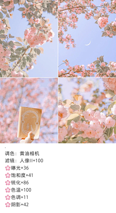 二白-TX采集到教程