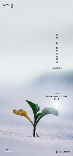 小乔印象采集到灵感创意