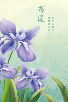 云墨千尘采集到花纹