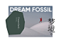 DREAM FOSSIL 梦的化石 BRAND