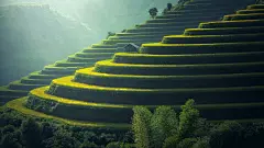 绿色护眼壁纸-绿色自然风景护眼动态壁纸- macw下载站