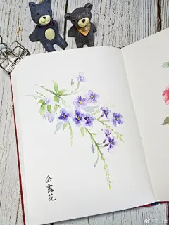自制水彩本画的花卉小画儿 ​（作者：@南山绘  ） ​​​​