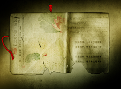 泠馨采集到图文