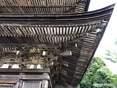 #日本酱子# 《琉璃光寺五重塔》算是琉璃光寺的镇寺之宝了 很漂亮 每个细节都很迷人 像在讲诉他的故事 塔在这里也站立了五百多年 褪色的沧桑和夏日的鲜绿 形成了鲜明的对比 #好摄之途# ​​​​