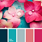 color palette