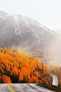 洛矶山脉的秋天，科罗拉多州<br/>Rocky Mountain Autumn, Colorado