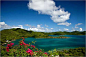 在加勒比海一带，露营场所并不多。当然，圣约翰岛是个例外。圣约翰岛，是美属维尔京群岛中的一个小岛，因岛上的国家公园占据了全岛2/3的面积，限制了全岛的发展，倒保住了自然的原貌。