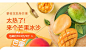 攀枝花凯特芒
