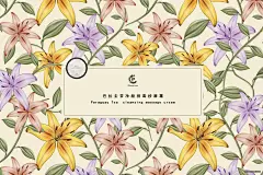 《投以木瓜》视觉设计工作室。
微信号：iMOMOi1118。
约设计请联系上面微信。
#设计，排版设计，广告海报，海报宣传,品牌设计，品牌形象设计，微商品牌设计，微商团队合作