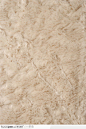 布纹蕾丝-乳白色地毯分享即免费素材下载并参与传素材送现金活动