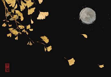 我喜欢秋天的夜，水色与花影，月白与风清，...