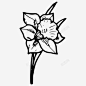 鸢尾花自然植物图标 免费下载 页面网页 平面电商 创意素材