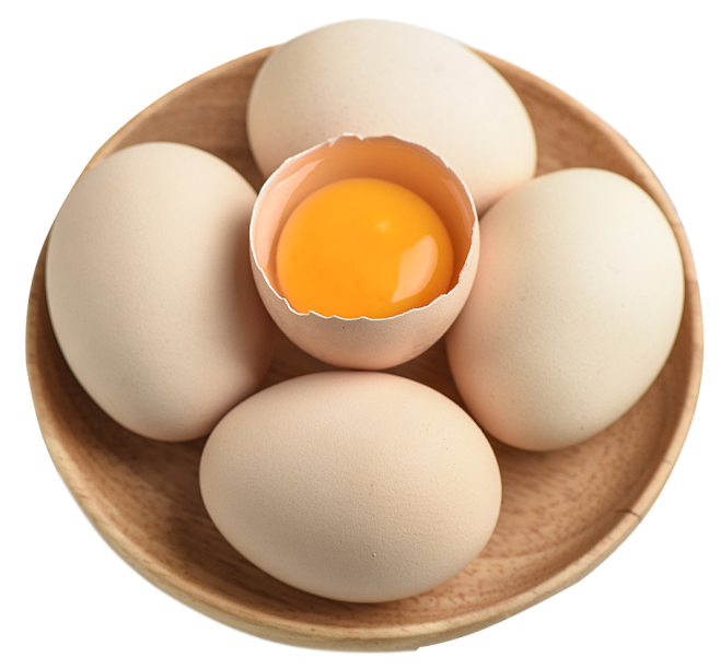 鸡蛋 - PNG免抠