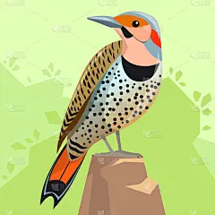 鸟-北Flicker，坐在背景的绿色森林。啄木鸟属的鸟，阿拉巴马州的象征。