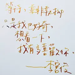 李宫俊的诗(等待，并非执拗。只是我也很好奇，想看一下，我是有多喜欢你。)手帐排版、手写文字、手帐本、手写句子、文字图片、文字美图、文字控、文字壁纸
