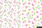 苹果 模板 框架 插图 收藏 水彩 花纹花边图案设计平面设计