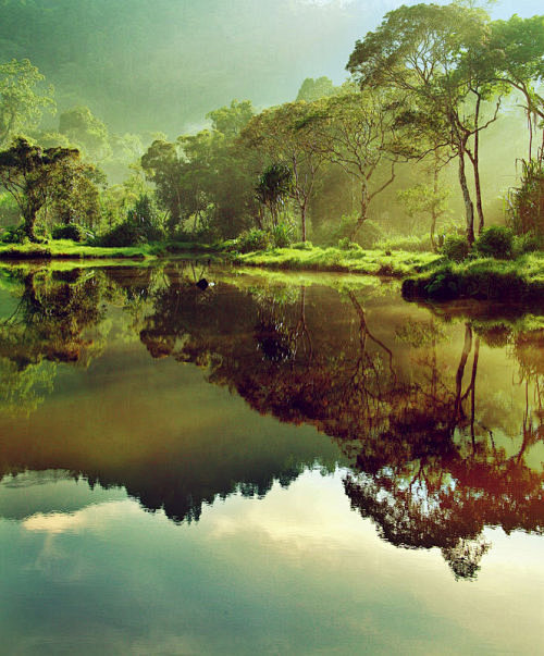 印尼Situ Gunung湖的早晨。安静...