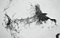 General 1920x1200 minimalism digital art artwork animals birds ravens crows paint splatter monochrome grayscale white background