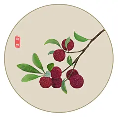 杨梅