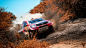 rally-3840x2160-sand-forest-4k-20159