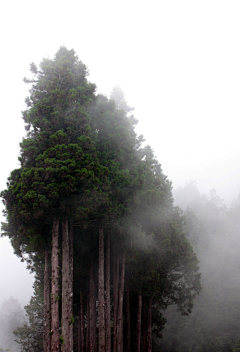 makooo采集到风景