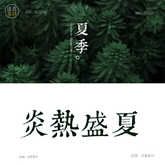 GO7fuMqR采集到字体