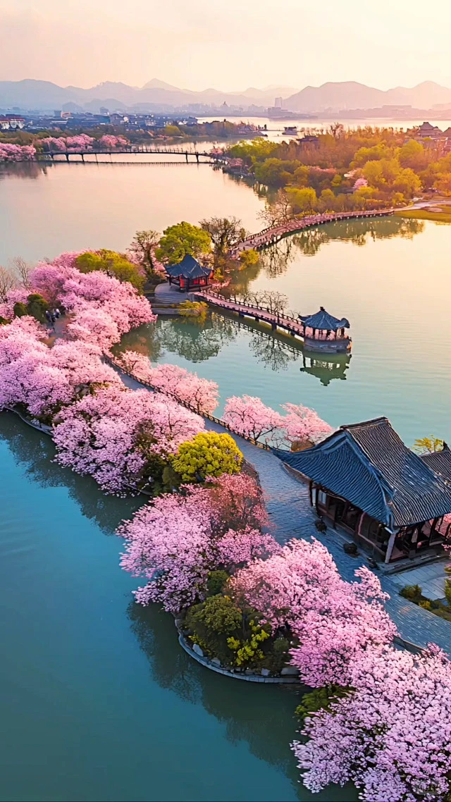 西湖春天 - 小红书搜索-花瓣网
