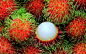 Rambutan