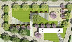 【景观】PS平面树素材-花瓣网|陪你做生活的设计师 | PSD彩平_ZOSCAPE-园林景观设计意向图库|园林景观学习网 - 景观规划意向图