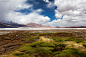 Untitled. : Patches of green near Laguna Blanca, Bolivia.  XL:  www.flickr.com/photos/60657874@N02/34127922692/sizes/k/