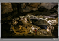 山力士照明赞助四川洞穴探险队-新年首探-化尸洞遭遇女鬼