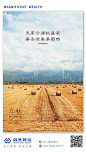 立秋节气移动端海报-志设网-zs9.com