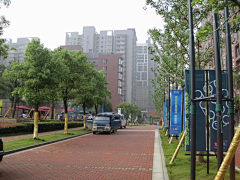 见不得你流泪采集到花园景观