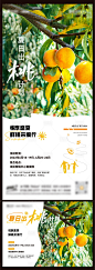 地产摘桃活动海报-源文件
