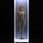 android concept art Cyberpunk Cyborg Fashion  female figure mecha model robot