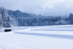 A--a采集到滑雪场景