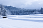 冬天，下雪，雪景