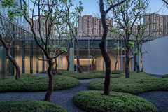 sanyueyanhuayu采集到林下(休憩)空间