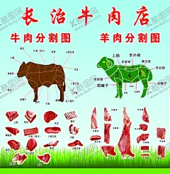 牛羊肉分割图 【酷图网】羊肉分解,羊肉分解图,羊肉分割,羊肉部位,羊肉,羊肉主要部分,羊,牛羊,新疆羊肉,阿兰迟羊肉,肉羊,羊肉分割部位,牛羊肉分割图,羊肉分割图,羊屠宰,屠宰,部位图,羊海报,羊展板,羊肉海报,羊肉部位图,分割图,羊示意图,羊肉部位介绍,羊肉分割示意,羊肉示意图