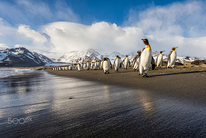 Morning Stroll on th...