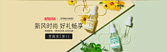 遇见花粉的蜜蜂采集到banner