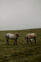 Cliffs-of-Moher-Couples-Shoot-3668