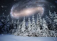 雄伟的景观与森林在冬夜的时候，星星和银河在天空。风景背景。NASA提供的元件