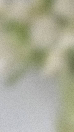 我每天都想睡觉O采集到花 叶子 影子