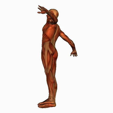 pose_01 (49)