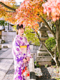 京都和服旅拍红叶季约拍 : 摄影后期/ @日本旅拍_阿蓝TK 避开游客，拍美美的红叶和服照 ☺️ 京都小众旅拍点，没游客，红叶特别美。 和服是帮妹纸选的，紫色系很搭红叶！ 【大阪京都奈良地区长期旅拍约片，欢迎咨询】 【和服｜
